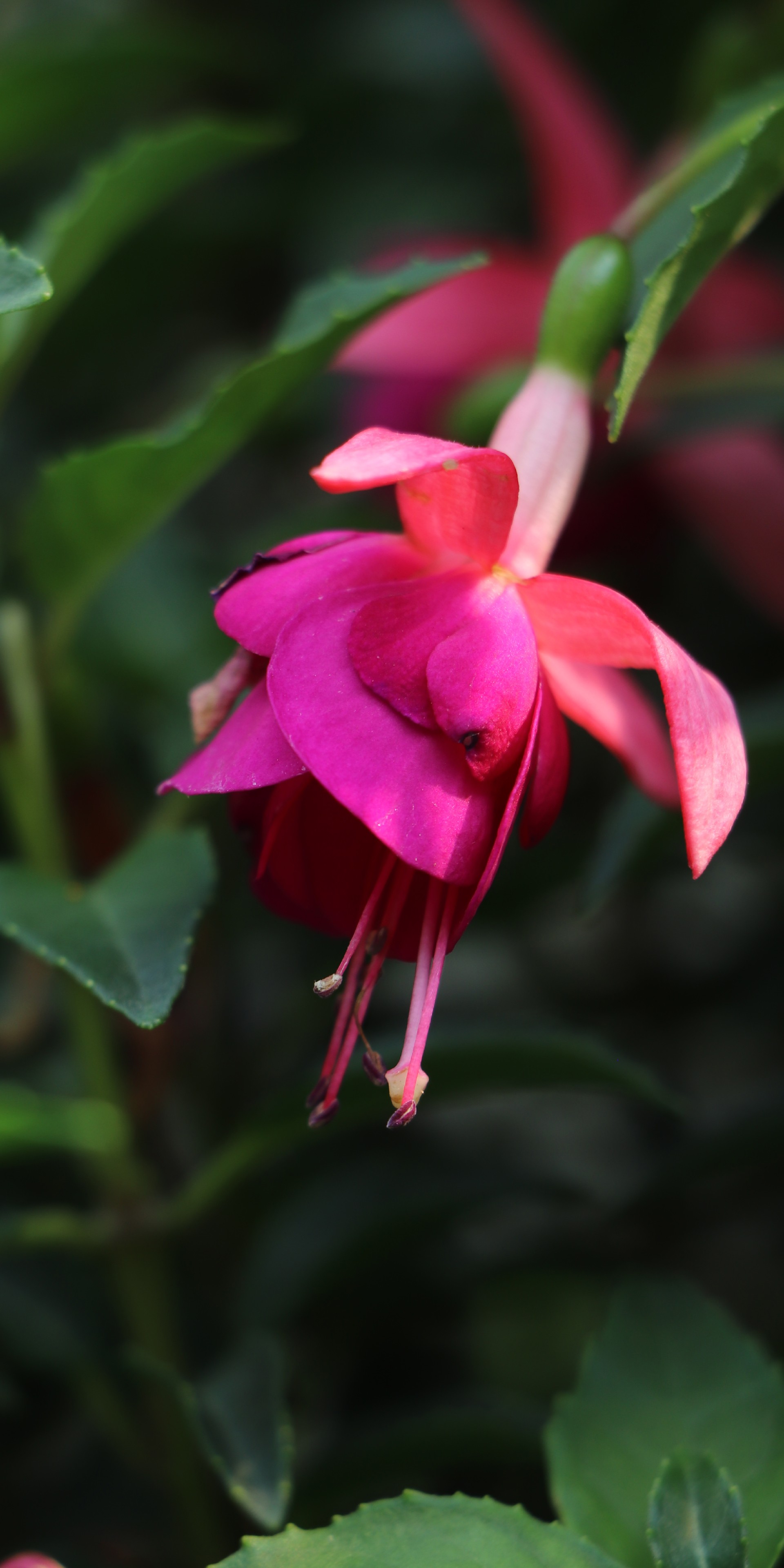 IMG_3551 拷贝.jpg